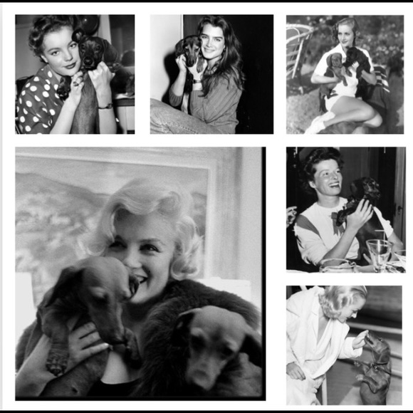 🌟Dachshund Pals Wall Art - Picture 12 of 16